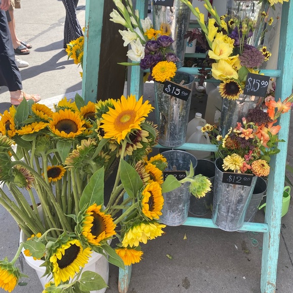 Meet your Posher, Grace - Picture 1 of 1